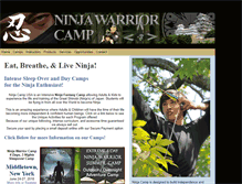 Tablet Screenshot of ninjacampusa.com